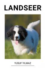 Landseer af Yusuf Yilmaz