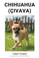 Chihuahua (Çivava) af Yusuf Yilmaz