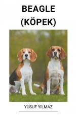 Beagle (Köpek) af Yusuf Yilmaz