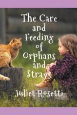 The Care & Feeding of Orphans and Strays af Juliet Rosetti