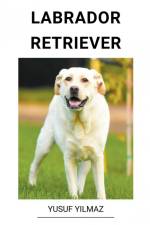 Labrador Retriever af Yusuf Yilmaz