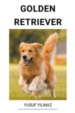Golden Retriever af Yusuf Yilmaz