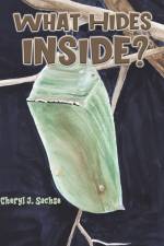 What Hides Inside?