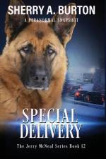 Special Delivery af Sherry A. Burton