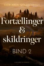 Fortællinger og skildringer (bind 2) af Meïr Aron Goldschmidt