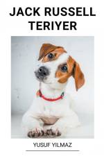 Jack Russell Teriyer af Yusuf Yilmaz