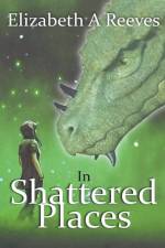 In Shattered Places af Elizabeth A Reeves