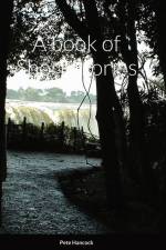 A book of Short Stories af Pete Hancock