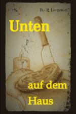Unten auf dem Haus af Bernd-Peter Liegener
