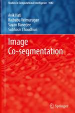 Image Co-segmentation