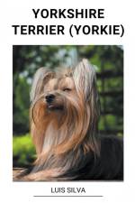 Yorkshire Terrier (Yorkie) af Luis Silva