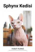 Sphynx Kedisi af Yusuf Yilmaz