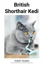 British Shorthair Kedi af Yusuf Yilmaz