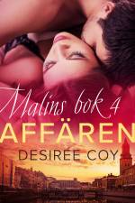 Affären - Malins bok 4 af Desirée Coy
