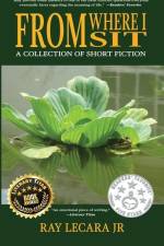 From Where I Sit: A Collection of Short Fiction af Ray Lecara
