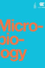 Microbiology by OpenStax af Nina Parker