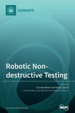 Robotic Non-destructive Testing