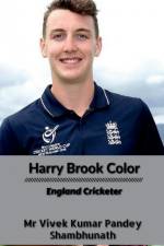 Harry Brook Color af Vivek Kumar Pandey