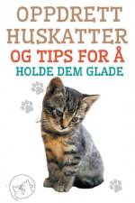 Oppdrett Huskatter og Tips for å Holde dem Glade af Edwin Pinto