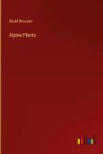 Alpine Plants