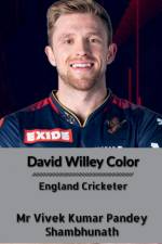 David Willey Color af Vivek Kumar Pandey