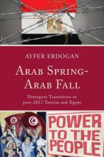 Arab Spring-Arab Fall af Ayfer Erdogan