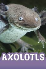Axolotls af Jaclyn Jaycox