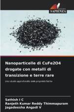 Nanoparticelle di CuFe2O4 drogate con metalli di transizione e terre rare af Sathish I C