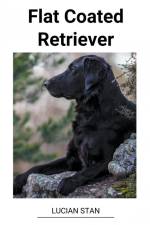 Flat Coated Retriever af Lucian Stan