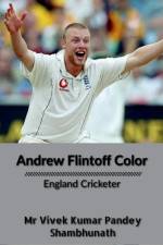 Andrew Flintoff Color af Vivek Kumar Pandey