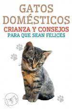 Gatos Domésticos Crianza y Consejos Para que Sean Felices af Edwin Pinto