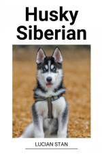Husky Siberian af Lucian Stan