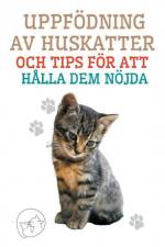 Uppfödning av Huskatter och Tips för att Hålla dem Nöjda af Edwin Pinto