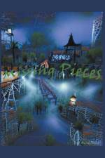 Missing Pieces af Aindi Rain