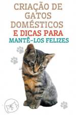 Criação de Gatos Domésticos e Dicas Para Mantê-los Felizes af Edwin Pinto