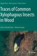 Traces of Common Xylophagous Insects in Wood af Magali Toriti