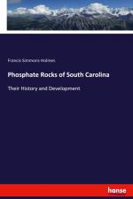 Phosphate Rocks of South Carolina af Francis Simmons Holmes