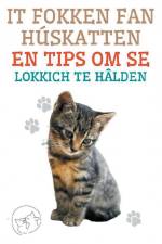 Pinto, E: It Fokken fan Húskatten en Tips om se Lokkich te H af Edwin Pinto