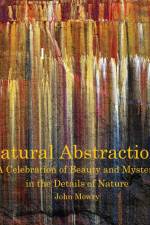 Natural Abstractions af John Mowry