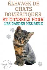 Élevage de Chats Domestiques et Conseils Pour les Garder Heureux af Edwin Pinto