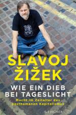 Wie ein Dieb bei Tageslicht af Slavoj Zizek