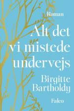 Alt det vi mistede undervejs af Birgitte Bartholdy