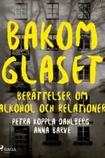 Bakom glaset : berättelser om alkohol och relationer