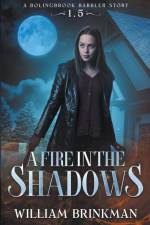 A Fire in the Shadows af William Brinkman