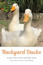 Backyard Ducks af Yvonne M Blacker
