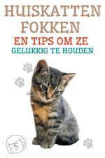 Huiskatten Fokken en Tips om ze Gelukkig te Houden af Edwin Pinto