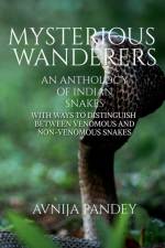 Mysterious Wanderers af Avnija Pandey