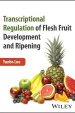 Transcriptional Regulation of Flesh Fruit Development and Ripening af Yunbo (China Agricultural University Luo