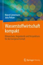 Wasserstoffwirtschaft kompakt af Julia Peltzer