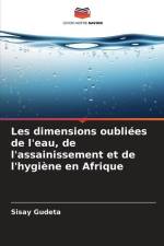 Les dimensions oubliées de l'eau, de l'assainissement et de l'hygiène en Afrique af Sisay Gudeta